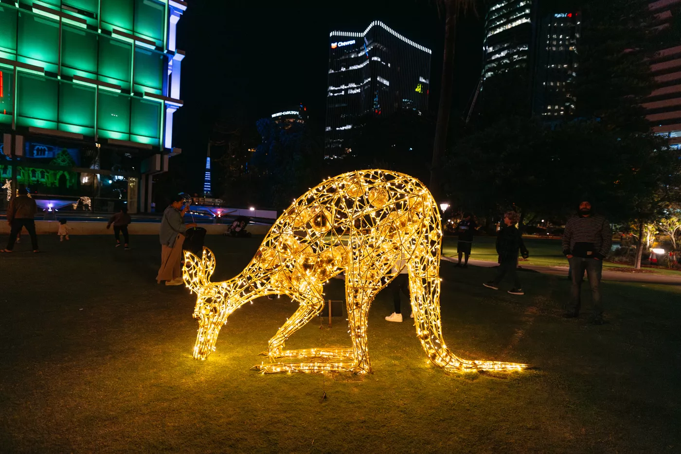 Christmas light kangaroos