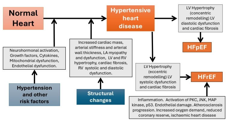 360_Camafort_Figure 1_escardio-hPhotoLarge.jpg