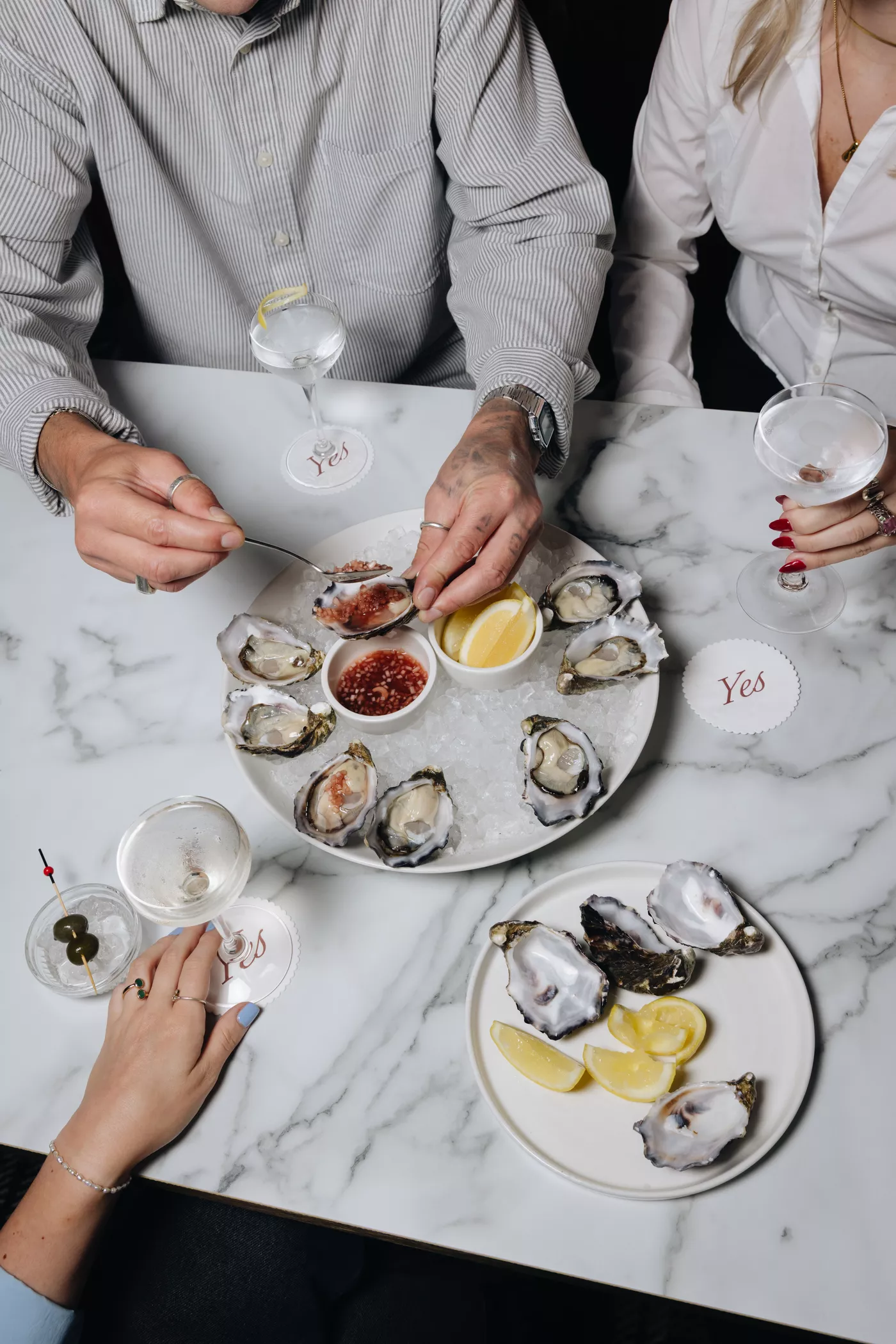 Oysters