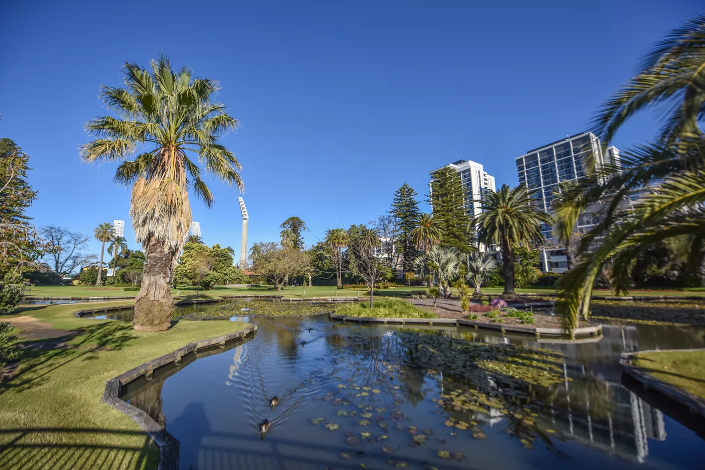 Pond at Queens Gardens