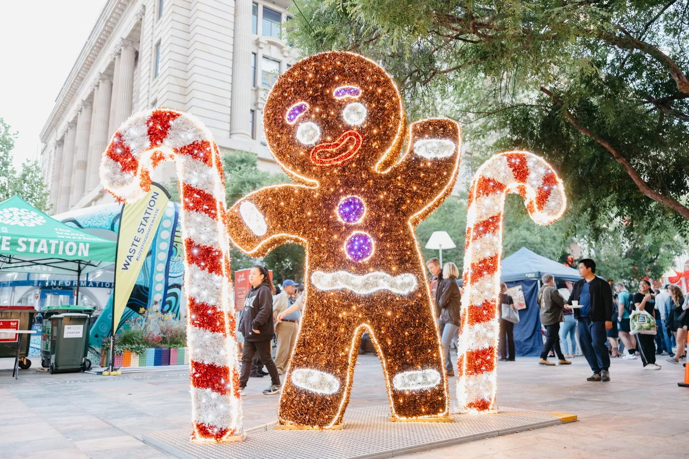 Christmas lights gingerbread and candy canes