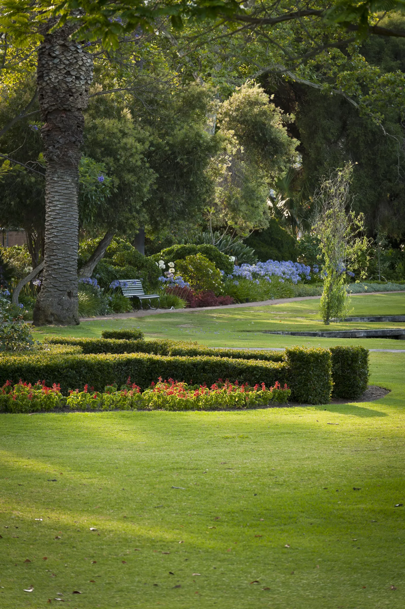 Flower bed at Queens Gardens