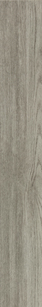 Chandler Oak Habrsham