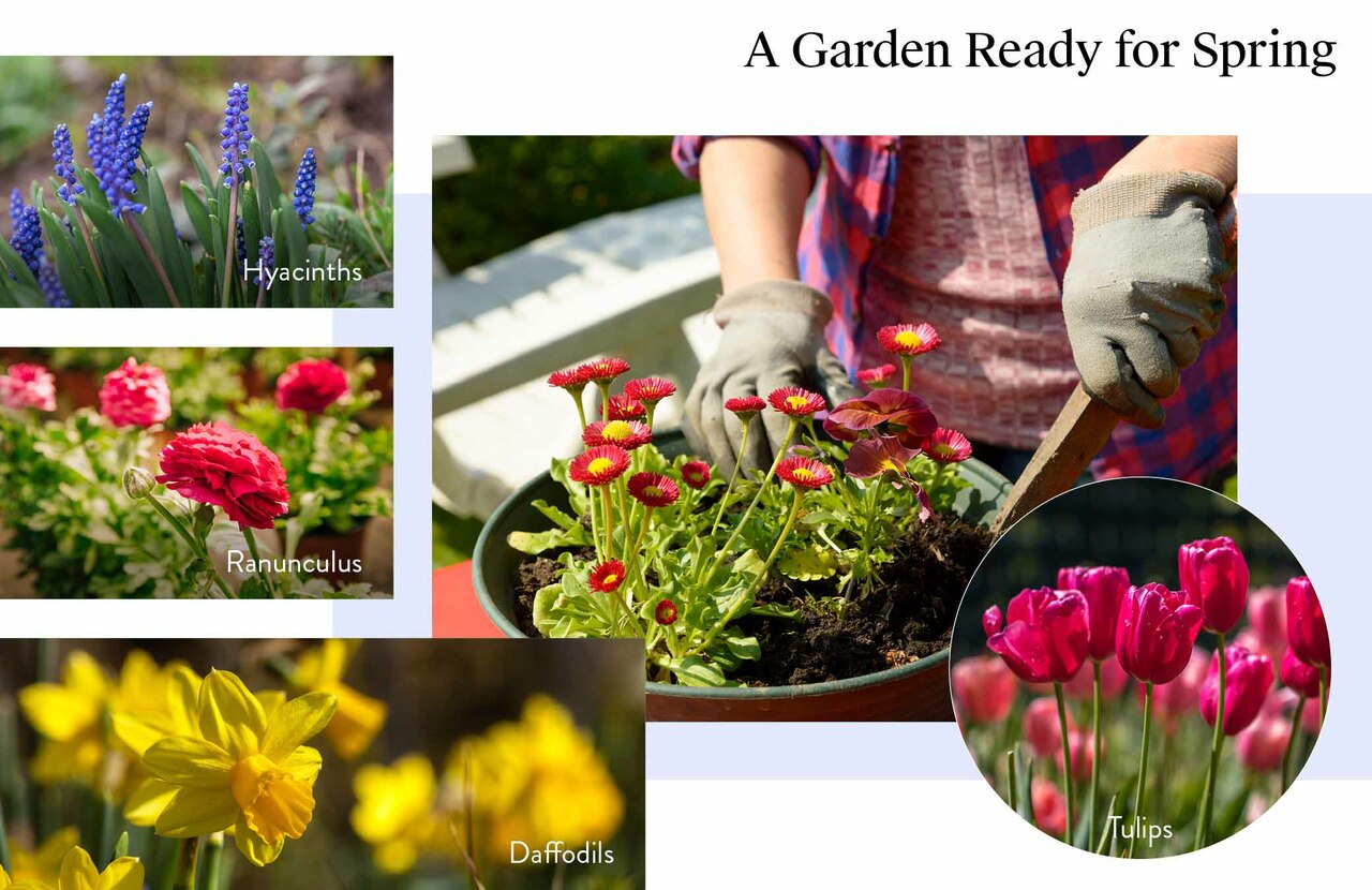 Carlisle Homes_Home Files_CH127_BODY 1_get-ahead-in-the-garden-what-to-plant-this-autumn.jpg