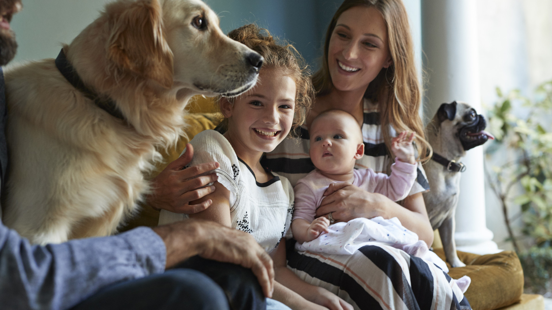 Family sitting together in sofa with their dogs