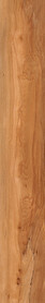 Spalted Beech