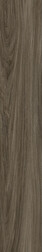 Timberwolf Elm