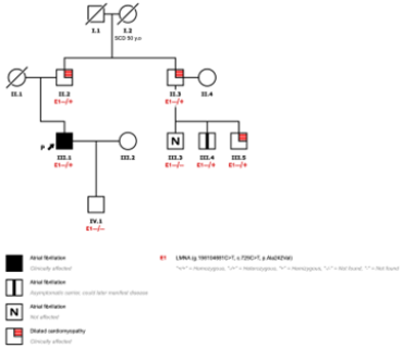 Picture 5 Clinical case CCVG insights Vol13_escardio-hPhotoMedium.png