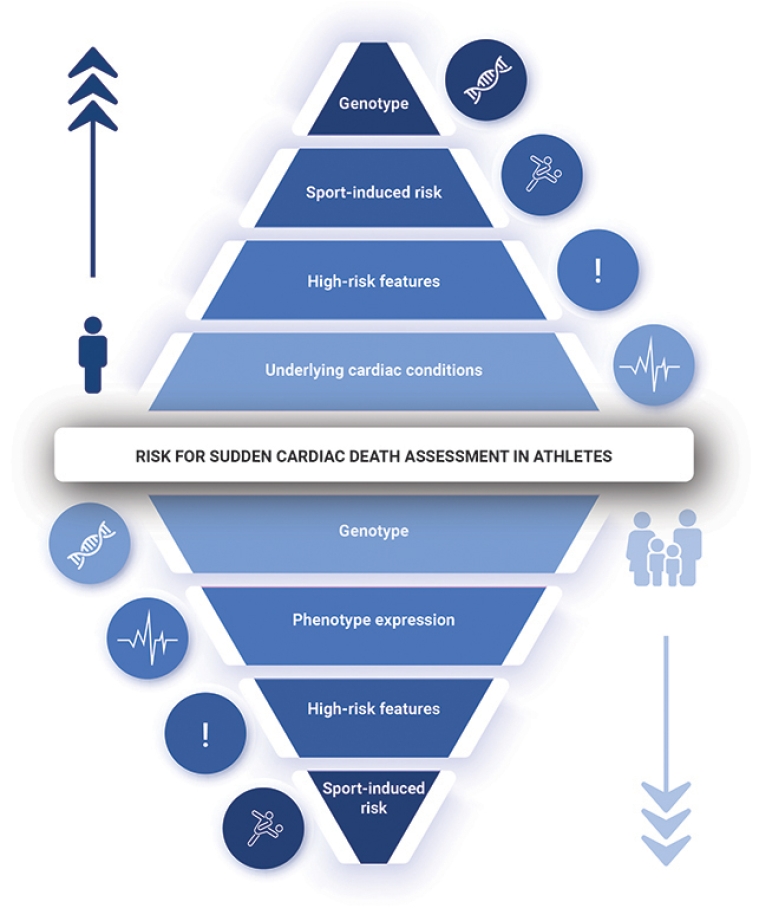 333_Papadakis_FINAL FOR PUBLICATION_Figure 2_escardio-hPhotoLarge.jpg