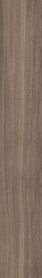 Dusky Walnut