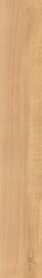 White Oak