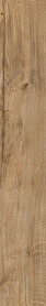 Featured Oak
