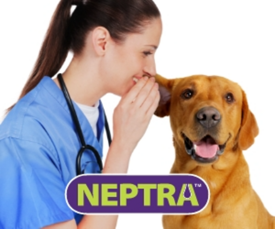 Advertorial_Neptra - 300x250 – 1.png