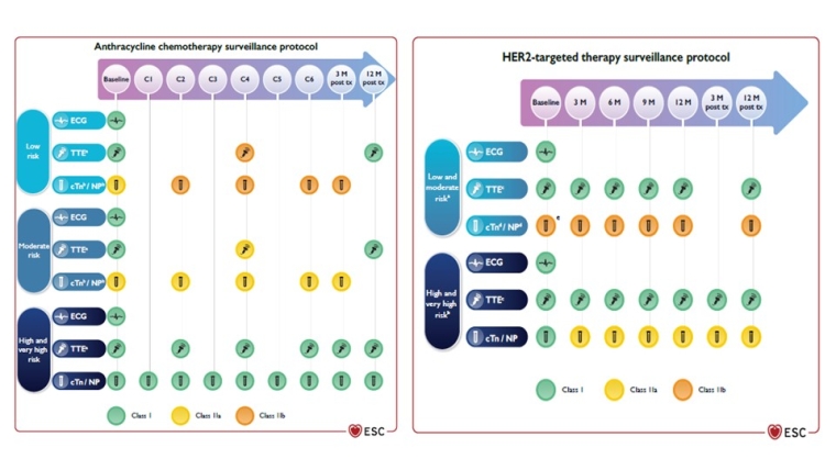 318_Cardinale_Figure 2_escardio-hPhotoLarge.jpg