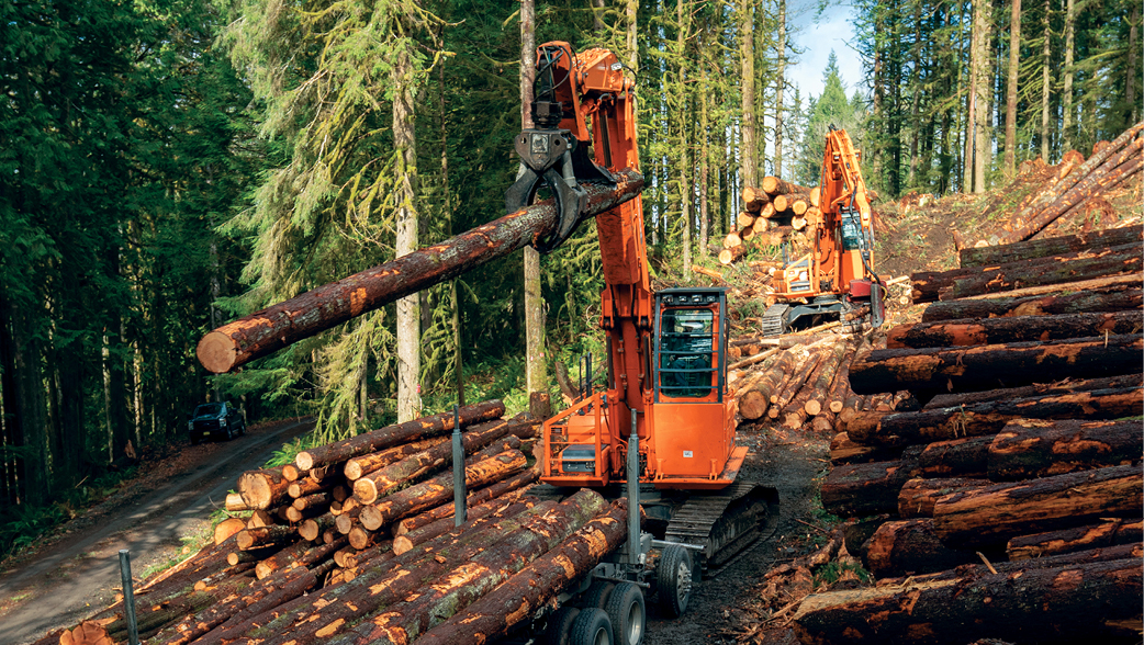 A DEVELON log loader placing a log onto a pile on a timber job site.