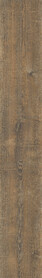 Aged Oak