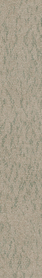 Zephyr Mint