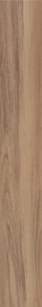 Hillside Walnut Palomino