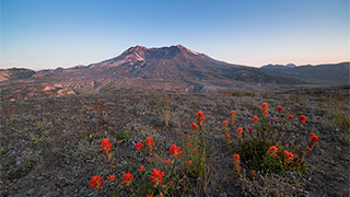 24456-mount-st-helens-washington-smhoz.jpg