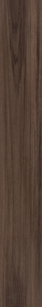 Hillside Walnut Woodland