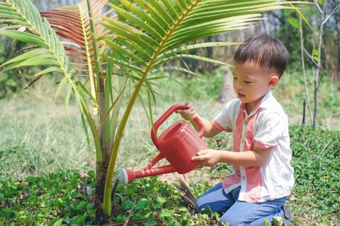 Penting: ajari anak untuk selalu cintai alam dan bumi kita