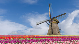 24933-NL-Amsterdam-Windmill-smhoz.jpg