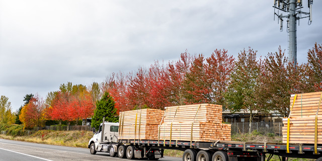 Powerful white big rig semi truck with day cab transporting lumber wood on two flat bed semi trailers running on the straight road with autumn trees