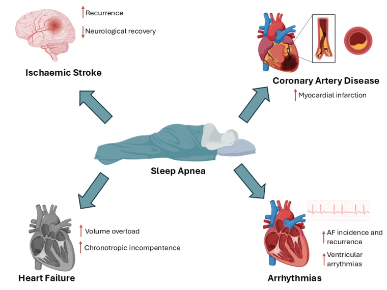 369_Lamberts_CENTRAL ILLUSTRATION_FINAL FOR PUBLICATION.jpg