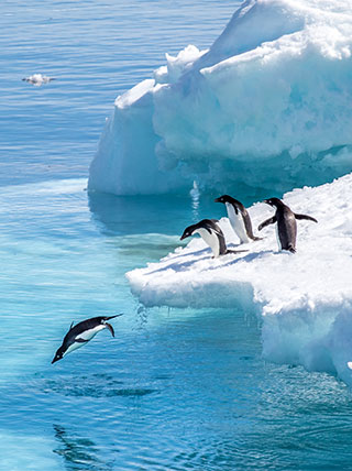 23705-icebergs-penguins-otherworldly-antarctica-vert.jpg