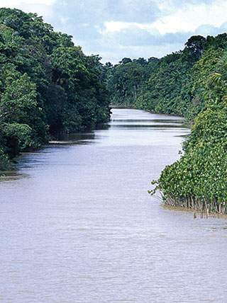 21982-heart-of-amazon-rainforest-riverboat-vert.jpg