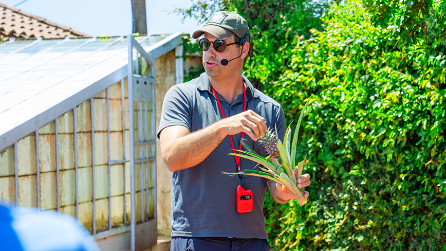 23579-PT-Sao Miguel-Ananases Arruda Pineapple Farm-20-c.jpg