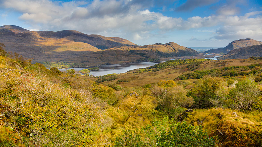 21682-IE-KillarneryNP-Muckross-Lake-7c.jpg