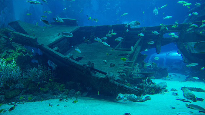 24470-Shipwreck-ocean-lghoz.jpg