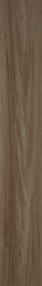 English Walnut