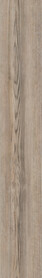 Parisian Pine