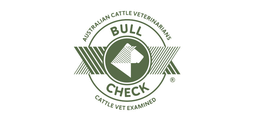 ACV BULLCHECK Logo - Content Page Hero