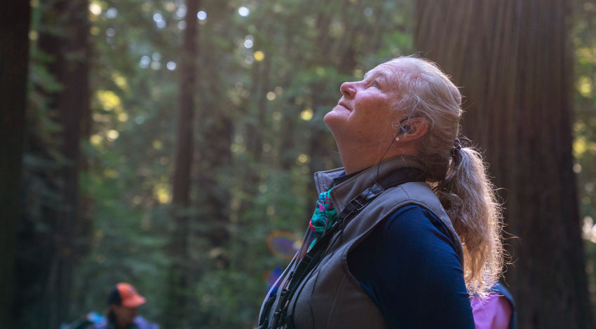 Women in Redwood National Park, California