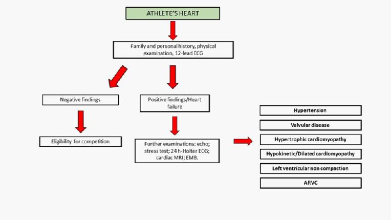 V14_36_Figure 2_Cardiac dysfunction and athlete&rsquo;s heart.jpg
