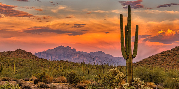 beauitful desert sunset