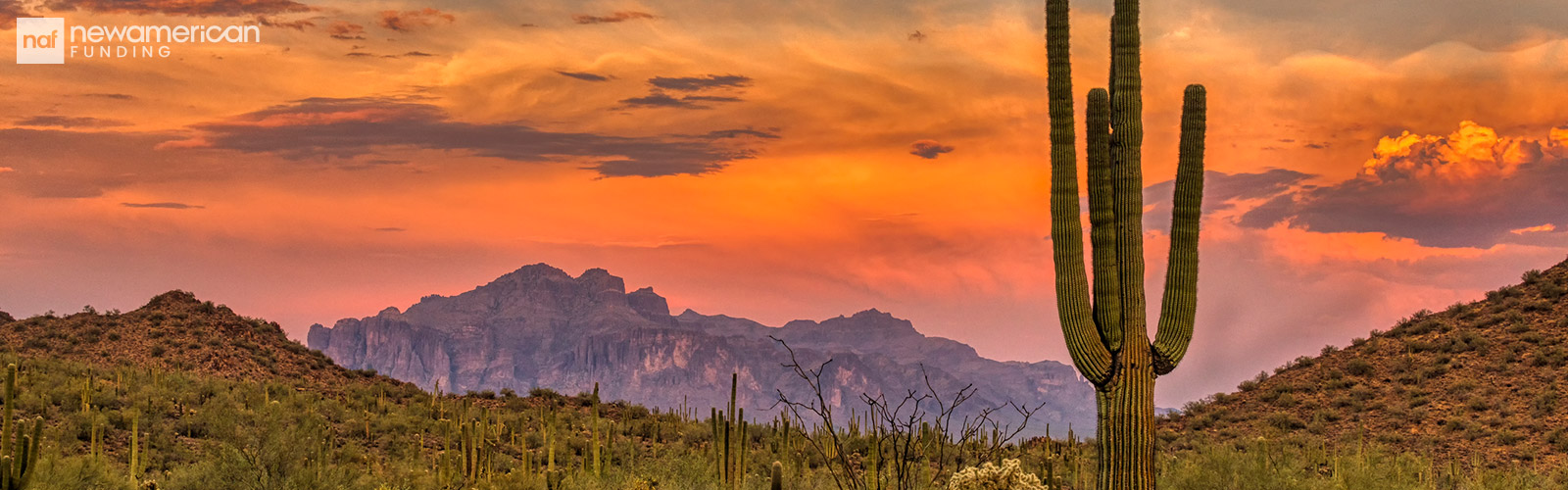 beauitful desert sunset