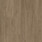Persian Walnut Driftwood