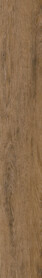 Bordeaux Oak