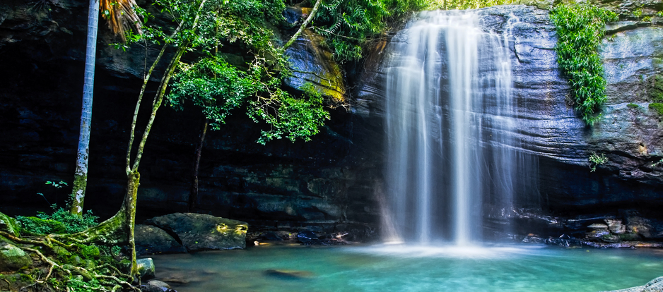 Serenity Falls flowing into a pool at Buderim on the Sunshine Coast