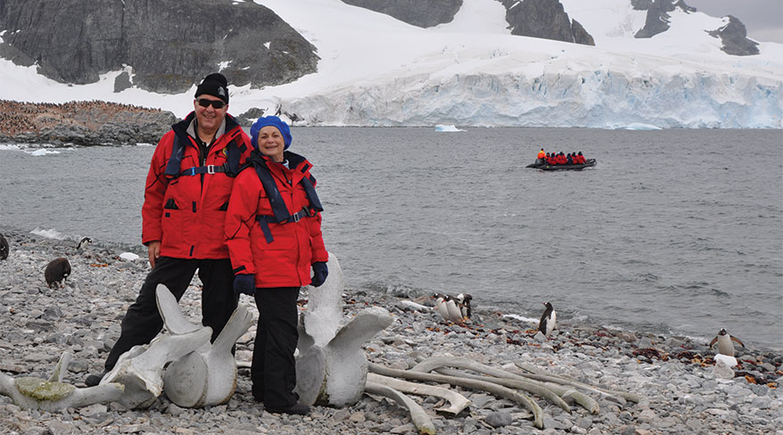 24843-antarctica-penguins-c.jpg