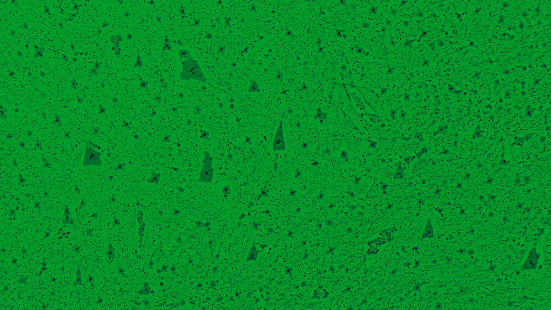 medconnect green AdobeStock_2105254118.png