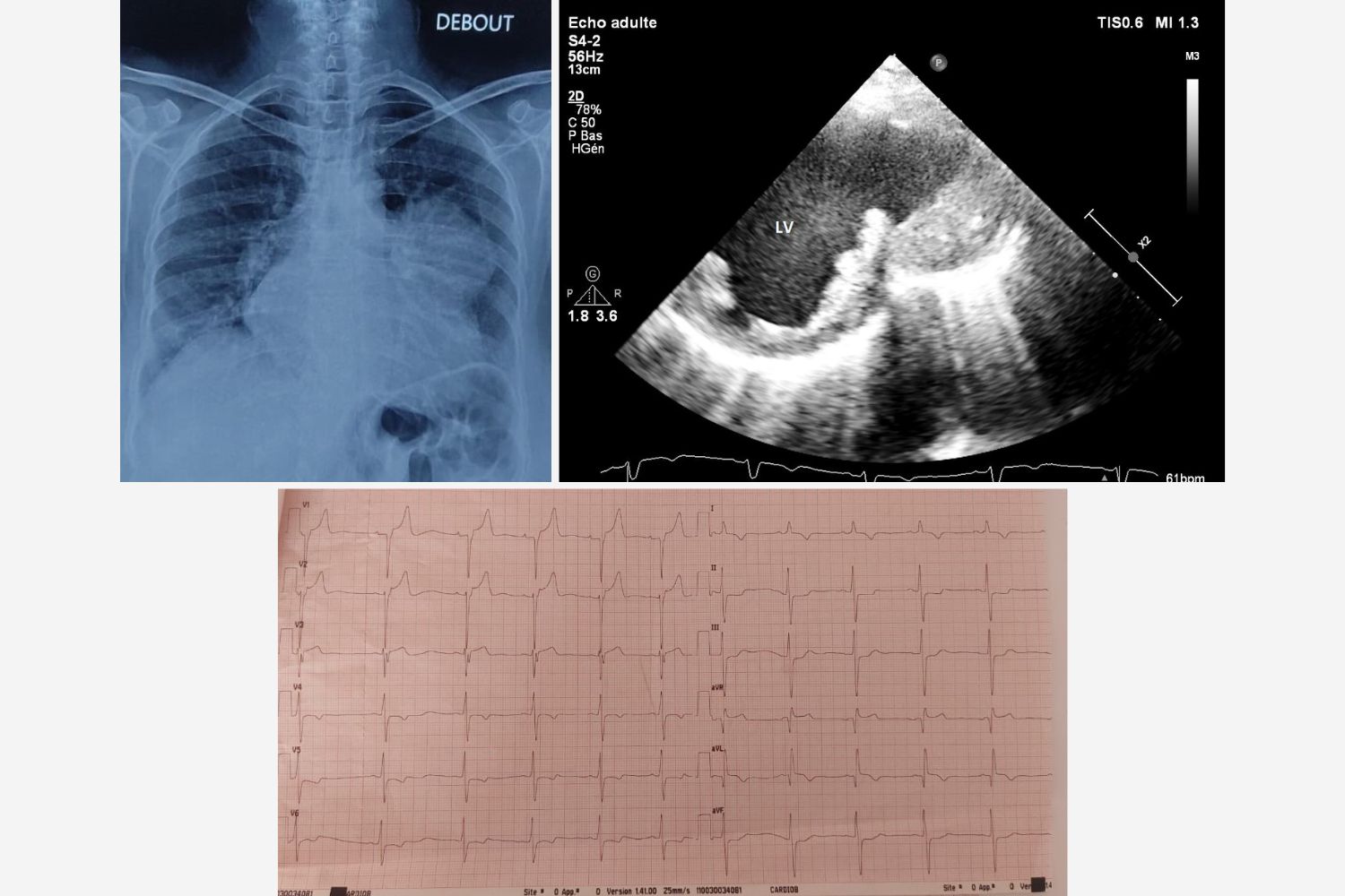Image of the Week - 15 October 2025