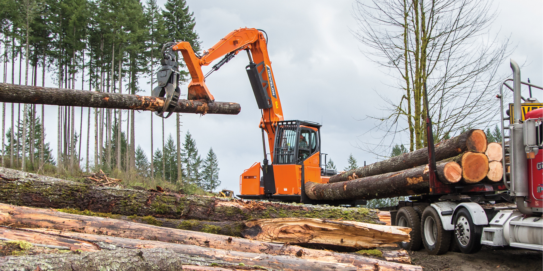 A DEVELON log loader loading trees onto a truck bed.