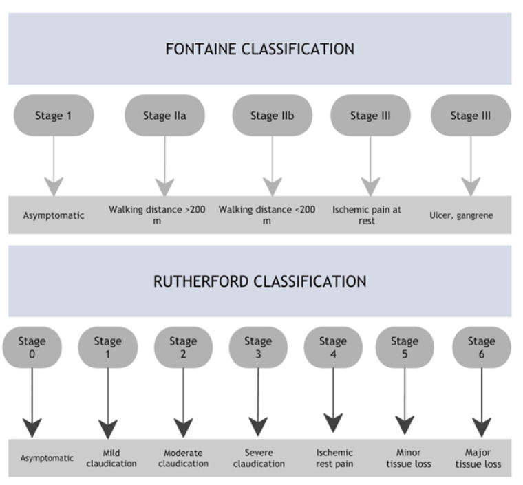 299_Rajan_FINAL FOR PUBLICATION_Figure 1_Diabetes and peripheral artery disease.jpg