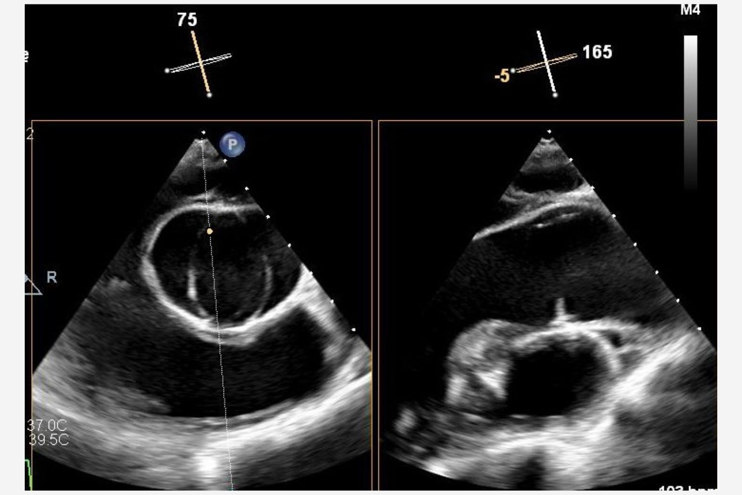 Image of the Week - 1 October 2025