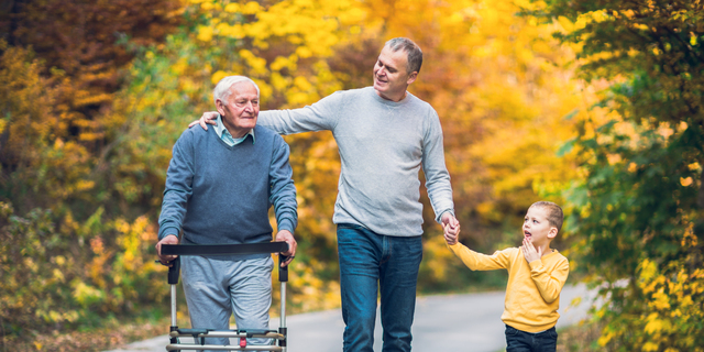 Elderly father adult son and grandson out for a walk in the park.